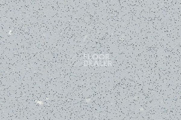Линолеум FORBO SafeStep R12 175862 silver grey фото 1 | FLOORDEALER